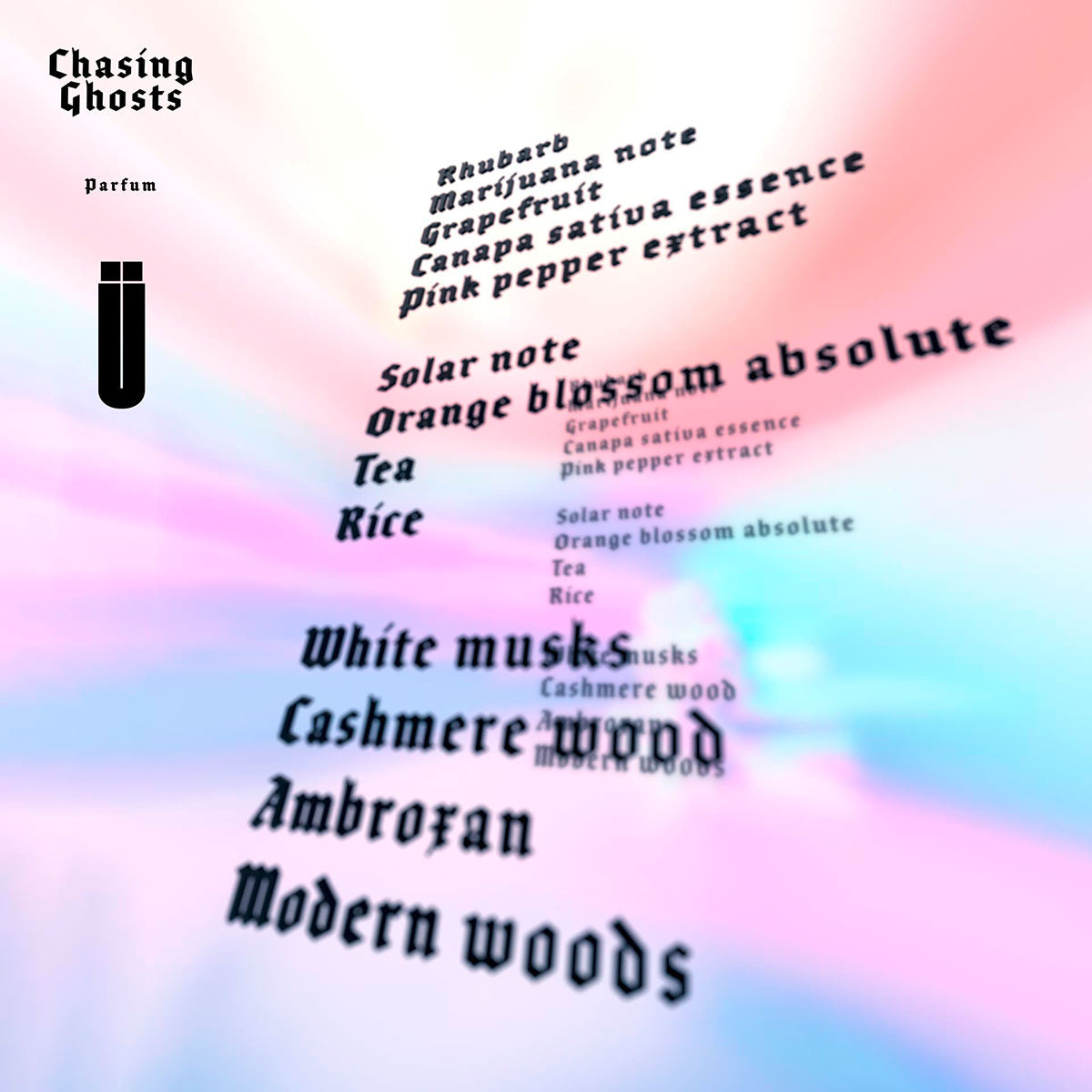  Ingredienti e note olfattive Chasing Ghost - canapa, pompelmo, muschio bianco