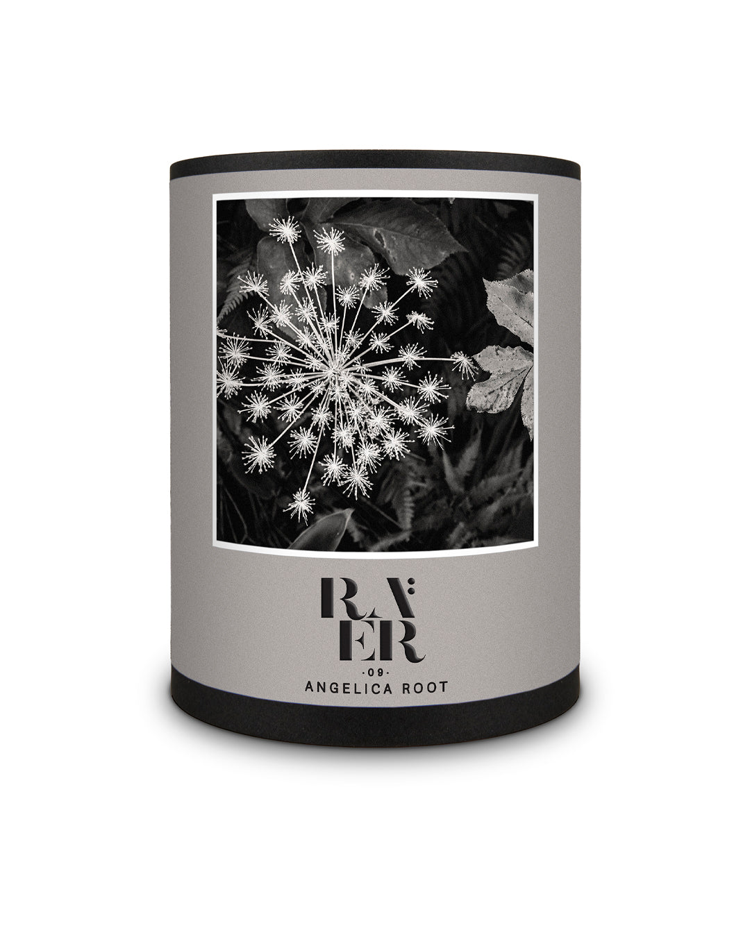 09 Angelica Root Extrait de Parfum Raer Scents 30ml – dettaglio flacone profumo botanico
